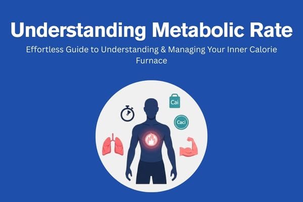 Understanding metabolic rate guide showing energy and metabolism illustration in blue and teal
